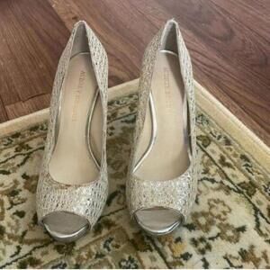 Audrey Brooke Silver Metallic Peep Toe Platform Heel Cocktail Wedding Prom